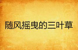隨風搖曳的三葉草 隨風搖曳的三葉草