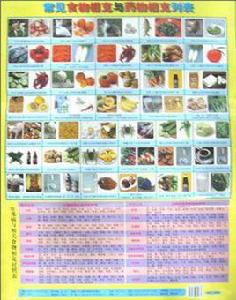 常見食物相剋與藥物相剋列表 常見食物相剋與藥物相剋列表