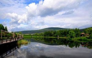 金山鹿苑生態觀光旅遊區 金山鹿苑生態觀光旅遊區
