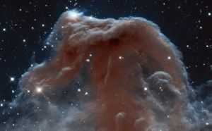 獵戶座內的馬頭星雲（影像是由美國基特峰國家天文台0.9米望遠鏡拍攝到的）