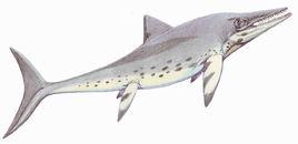 魚龍次亞綱 魚龍次亞綱