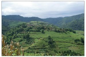 下溝心村 下溝心村