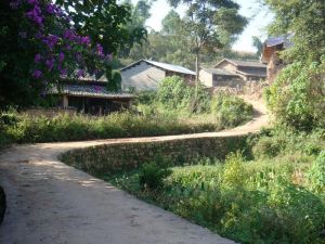 上中寨自然村 上中寨自然村