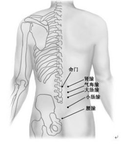 陽損及陰 陽損及陰