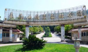 來鳳公園 來鳳公園