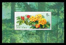 杜鵑花郵票（小型張）