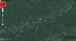 桃紅村[湖北省崇陽縣天城鎮桃紅村]