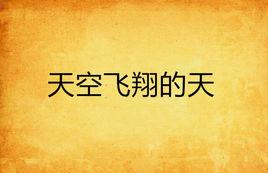 天空飛翔的天 天空飛翔的天