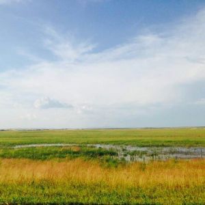 我們都去海拉爾 我們都去海拉爾