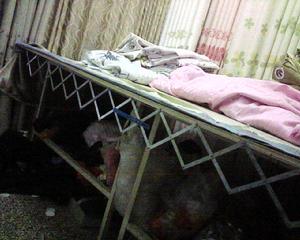 窗簾等分尺 窗簾等分尺