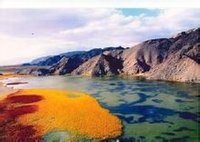 肅北蒙古族自治縣