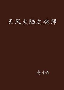 天風大陸之魂師 天風大陸之魂師