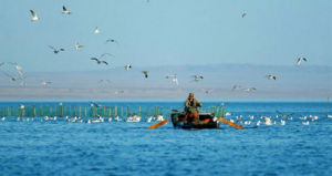 阿爾泰山兩河源頭保護區
