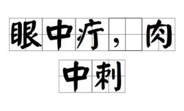 眼中疔,肉中刺 眼中疔,肉中刺