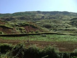 紮營自然村 紮營自然村