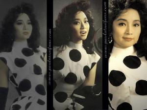 夢飛行[夢飛行]