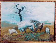 張德權作品欣賞