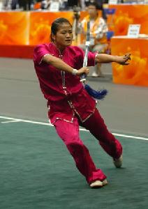 奧運會武術比賽