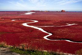 遼河三角洲 遼河三角洲