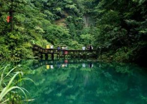 習水國家森林公園
