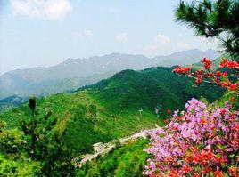 湖北大別山省級自然保護區 湖北大別山省級自然保護區