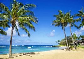 白沙灣海灘 白沙灣海灘