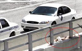 美國啃食人臉案 美國啃食人臉案