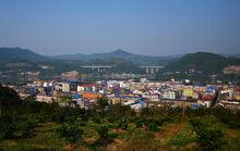 金華鎮[四川省射洪縣金華鎮]