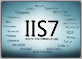 iis[網際網路信息服務]