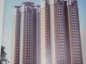 鴻福春天 鴻福春天