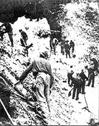 （圖）1951年1月21日