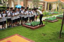 東莞市茶山譽華學校