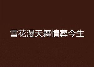 雪花漫天舞情葬今生 雪花漫天舞情葬今生