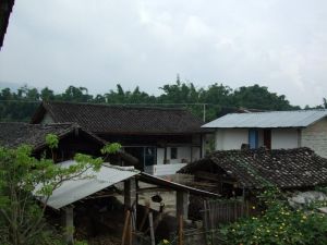 弄杏自然村 弄杏自然村