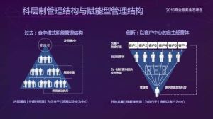企業科層 企業科層