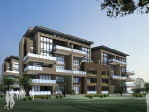 建發匯金國際 建發匯金國際