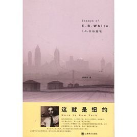 這就是紐約 這就是紐約