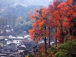 石城村[北京市密雲區石城鎮石城村]