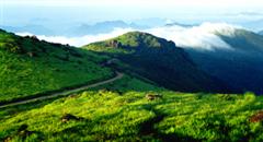 黑龍江涼水國家級自然保護區 黑龍江涼水國家級自然保護區