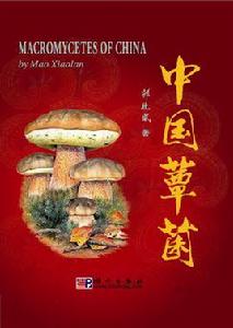 中國蕈菌 中國蕈菌