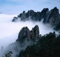 隱逸（廬山）茶廠