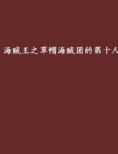 海賊王之草帽海賊團的第十人 海賊王之草帽海賊團的第十人
