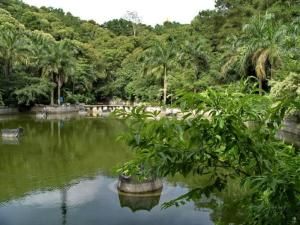 青秀山公園 青秀山公園