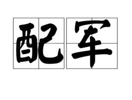 配軍 配軍