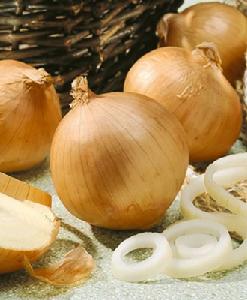 黃皮蔥頭 黃皮蔥頭