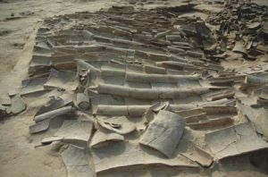 洹北商城 洹北商城