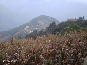 凹里球自然村 凹里球自然村