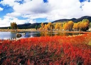 稻城亞丁自然保護區