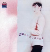 停在我心裡的溫柔 停在我心裡的溫柔