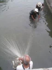 摩爾多瓦捕魚曲 摩爾多瓦捕魚曲